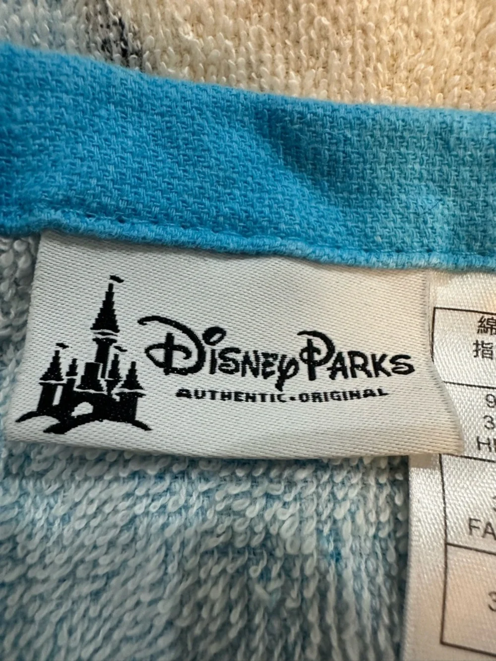 Disney fun summer